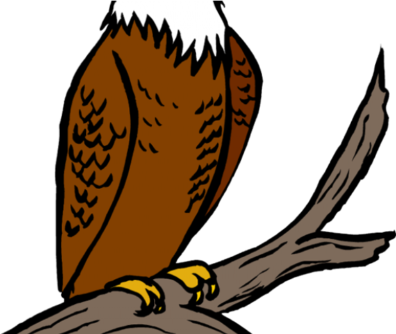 Welcome Clipart Eagle - Eagle Clipart (640x480)