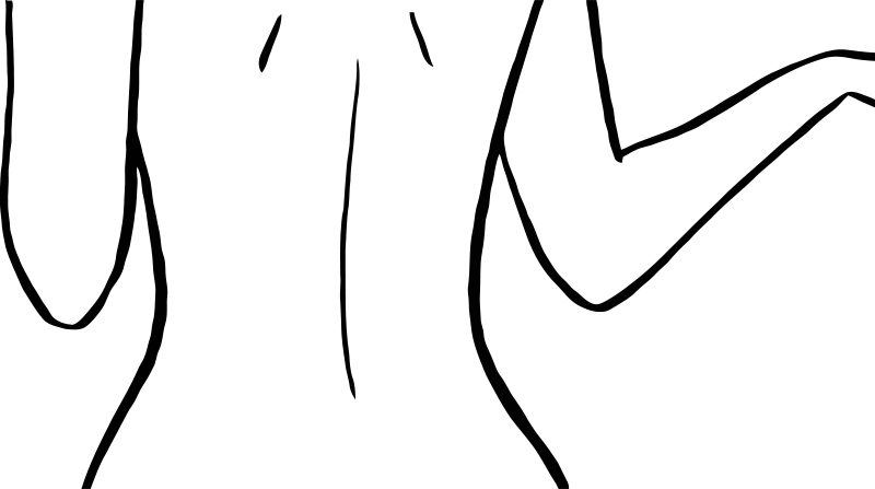 Back Clipart (800x447)