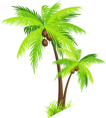 Transparent Palm Tree Png (362x400)
