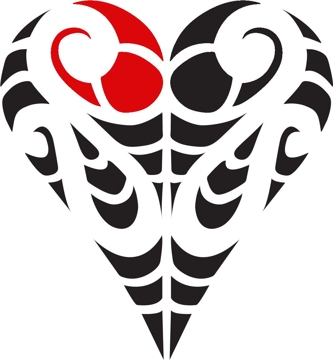Understanding Our Logo - Maori Koru Pattern Transparent (1181x1181)