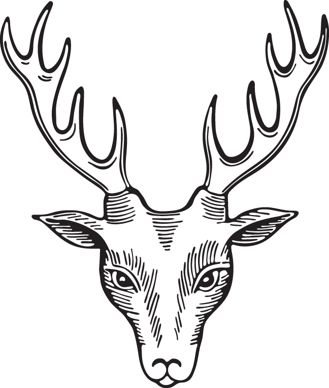 Reindeer (648x763)