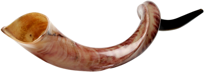 Kudu Shofar - Earrings (676x287)