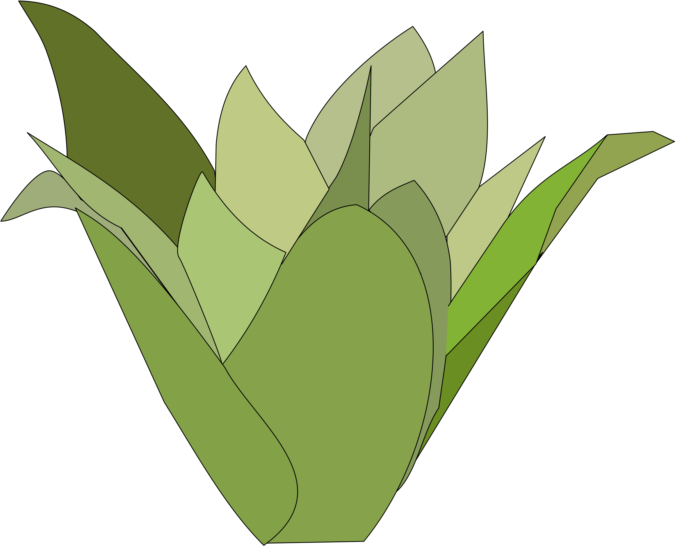 Big Image - Agave (2400x2400)