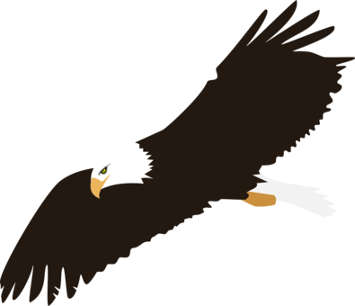 Bald Eagle Harpy Eagle Download - Eagle With White Background (395x340)