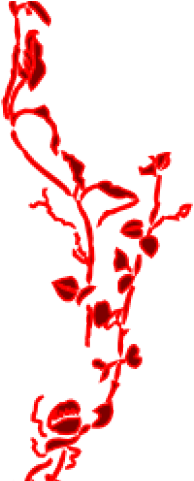 Flourish Clipart Border - Microsoft Word Border Design (640x480)