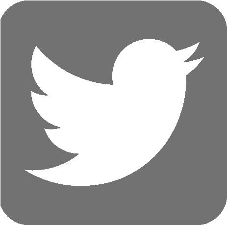 Twitter Icon Small Png (512x512)