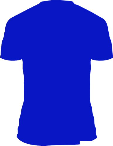 Active Shirt (386x500)