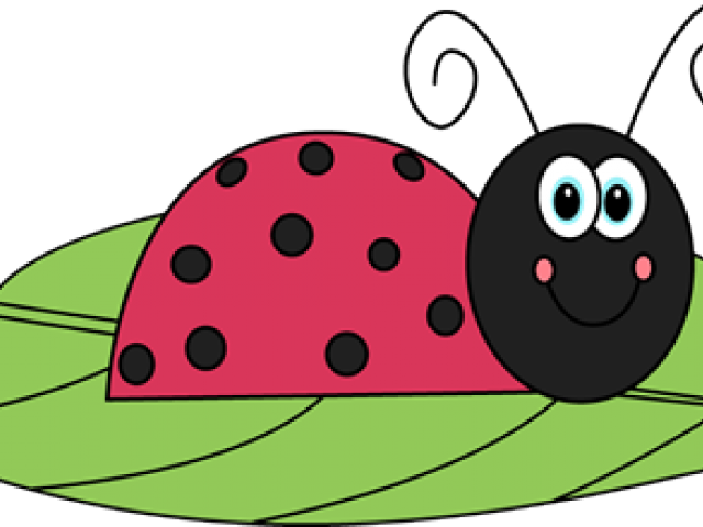 Leaf Clipart Ladybug - The Grouchy Ladybug (640x480)