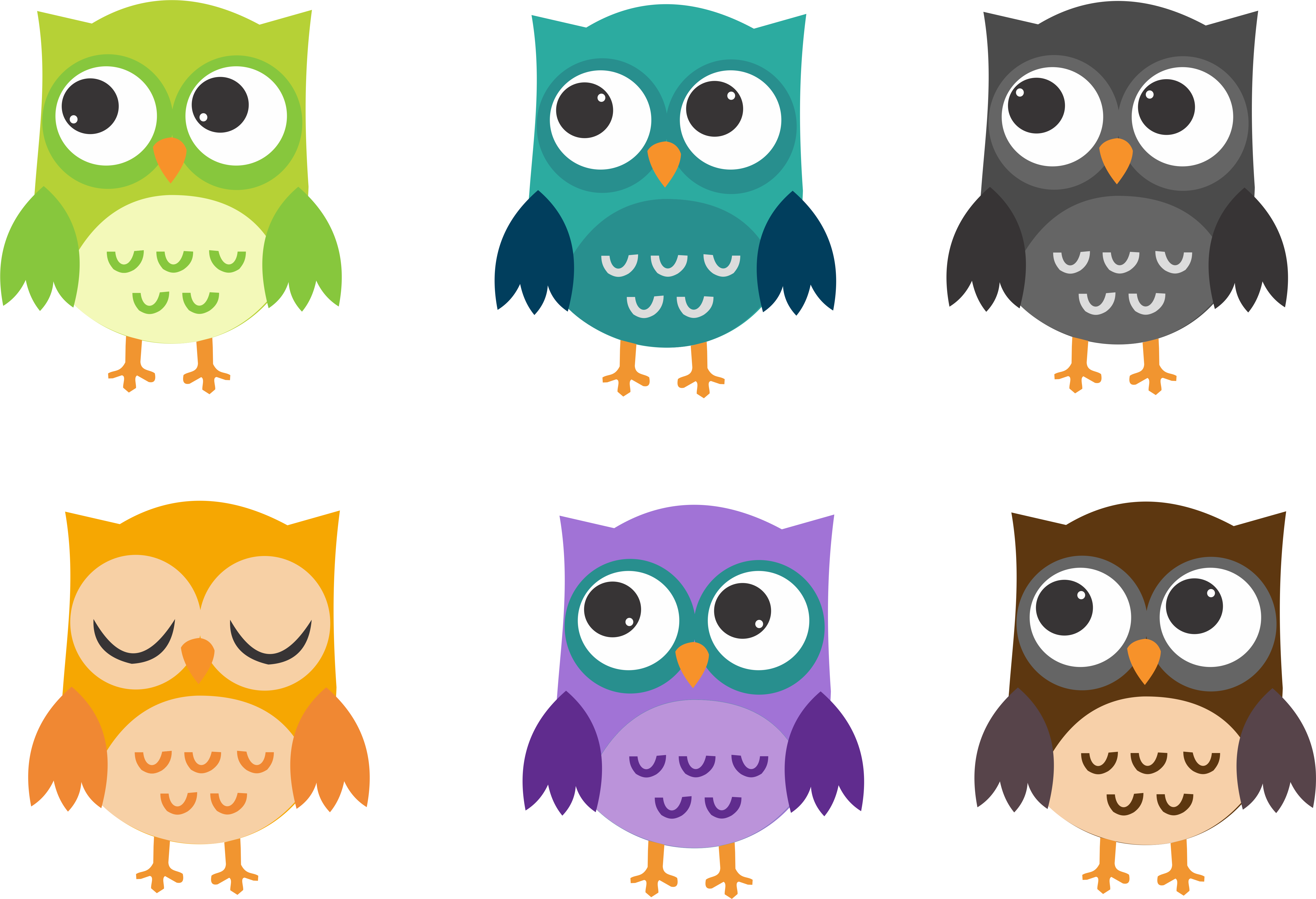 Buhos - - Buhos - (5520x3769)
