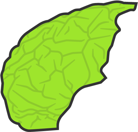 Show Hotspotsprefrontal Cortex - Show Hotspotsprefrontal Cortex (1008x567)