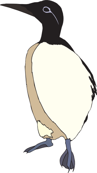 Bird (336x596)