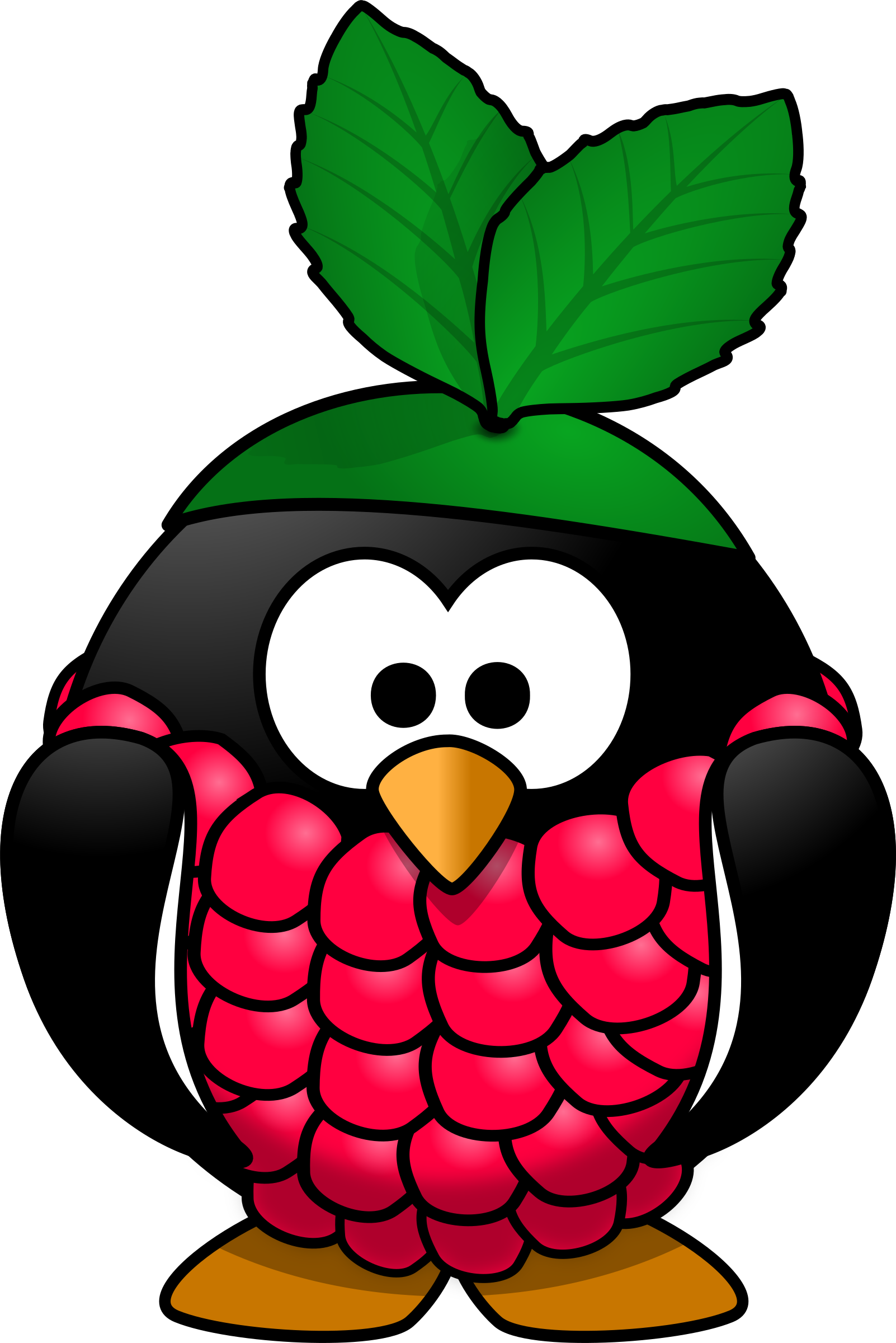 Raspberry Penguin - Raspberry Pi (1602x2400)