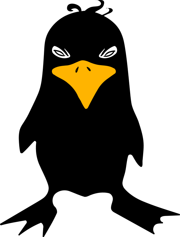 Pajaro Negro Animado (685x900)