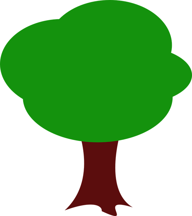 Cartoon Tree Aerial View (638x720)