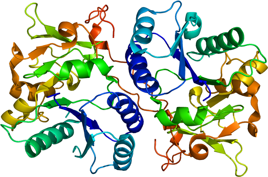 Cd171 Epitope (962x652)