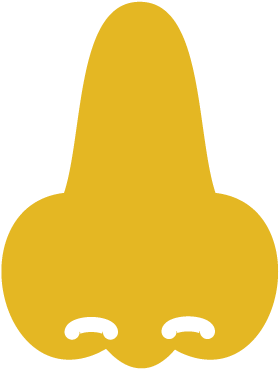 Nose - Nose (492x492)