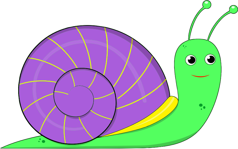Medium Image - Snail (800x502)