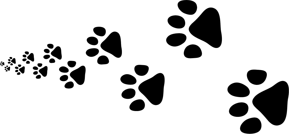 Request A Certificate - Request A Certificate (991x461)