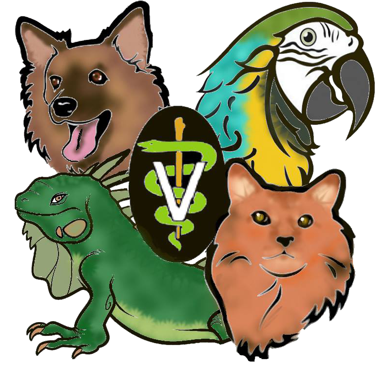 Special Services - Cartoon (796x753)