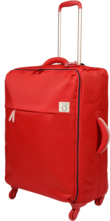 Hand Luggage (598x900)