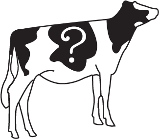 Dairy Cow (454x340)