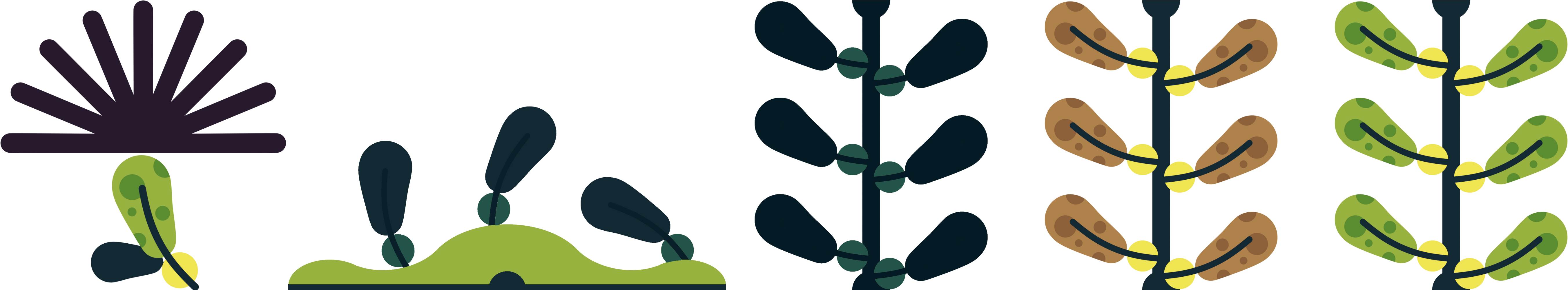 Map[map] Kelp Assets - Laser (5510x1000)