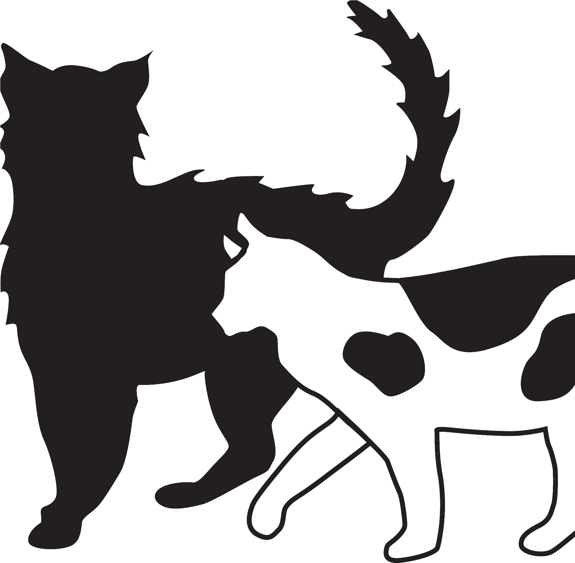 Dog Catches Something (1949x1954)