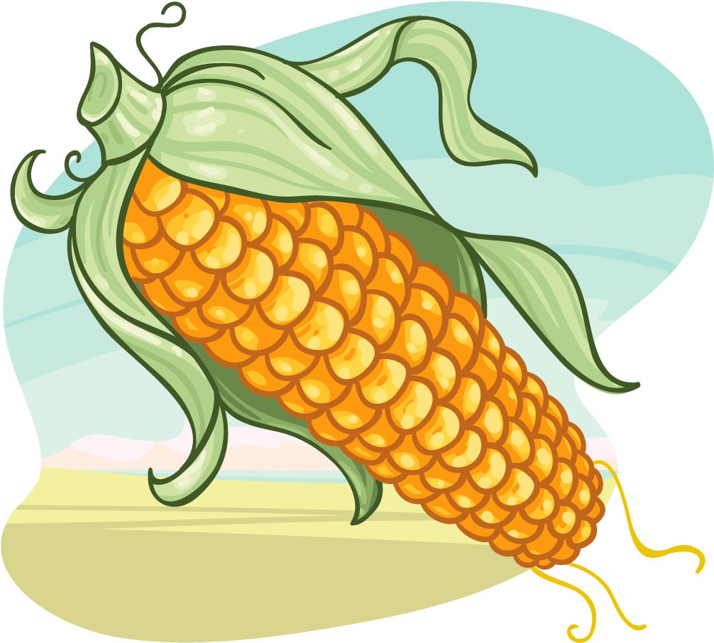 Corn - Corn (1024x1024)