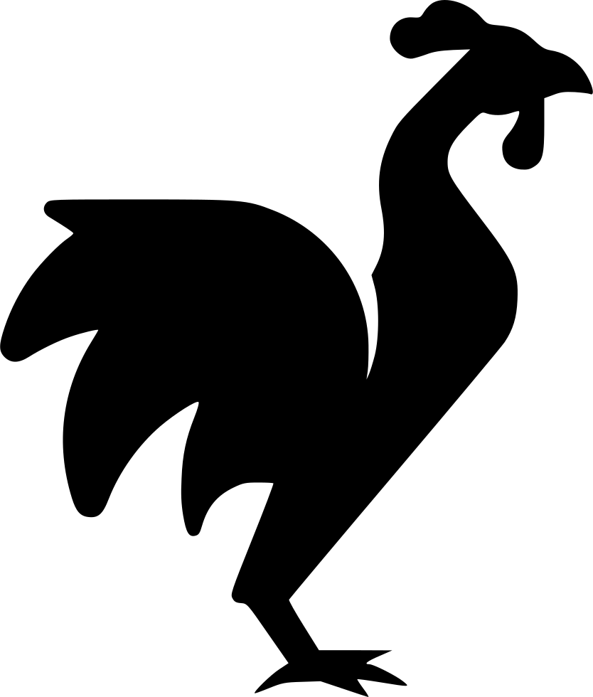Rooster Comments - Illustration (834x980)