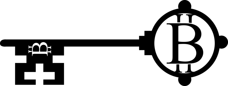 Bitcoin Skeleton Key Computer Icons Blockchain - Bitcoin Key (896x340)