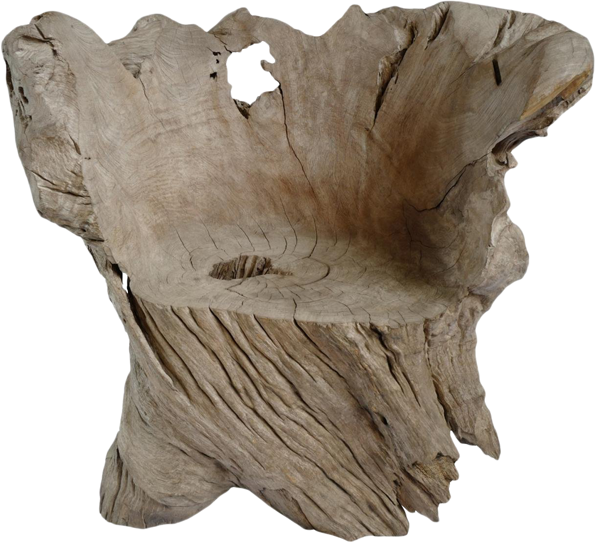 Hollow Tree Stump - Wood (1600x1600)