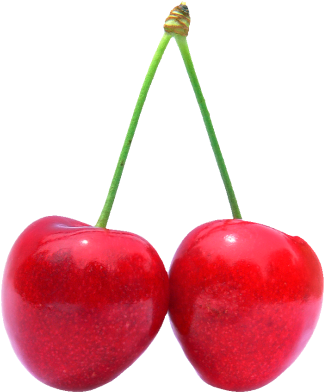 Png Fruits (340x400)