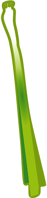 Spring Onion Vector Png (320x640)