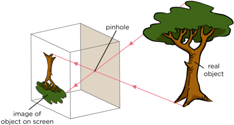 Transparent Translucent And Opaque Objects - Diagram (500x271)