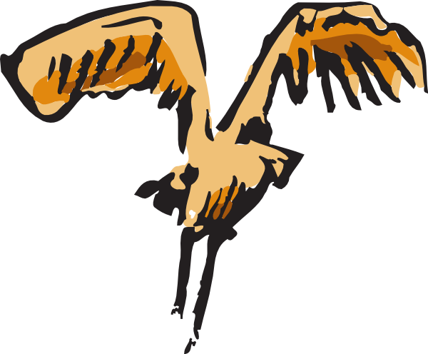Eagle (600x496)