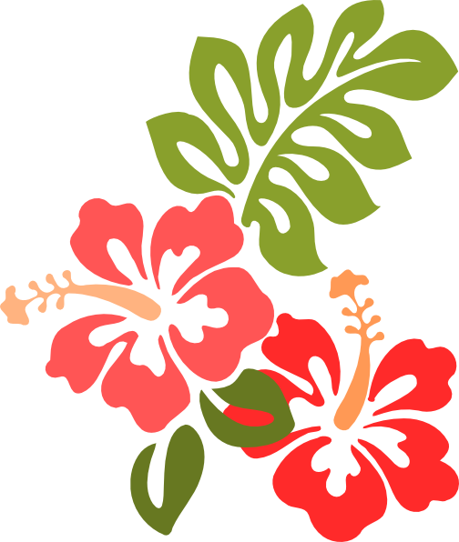 Hibiscus Clip Art (504x596)
