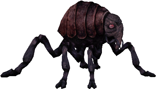Bu-110 - Oniscidea (510x298)