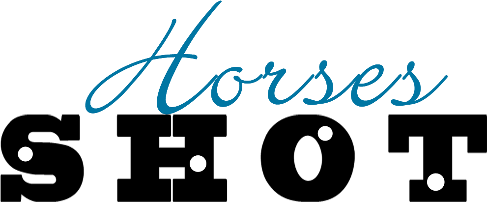 Horses Shot In Text - Graphic Design (1050x450)