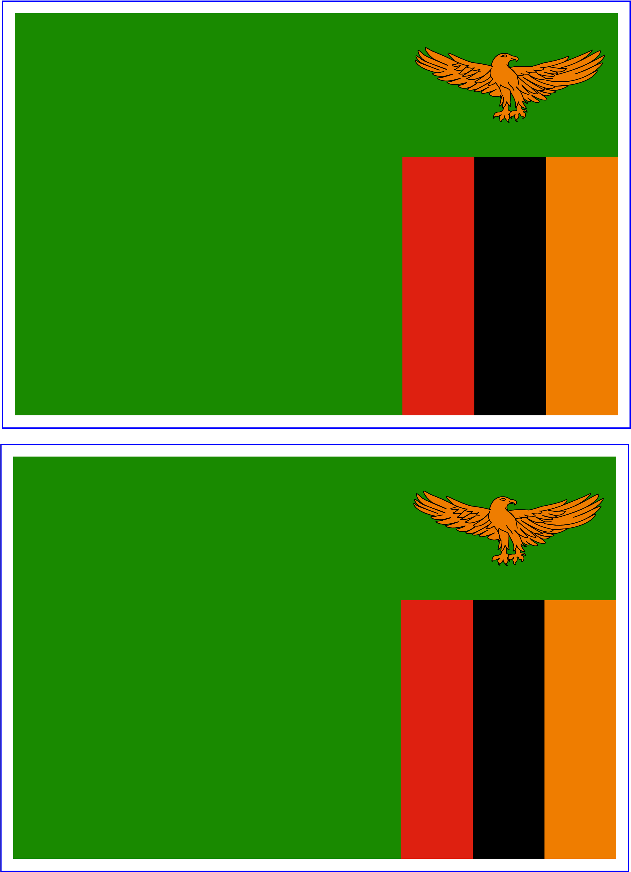 Zambia Flag (2480x3508)