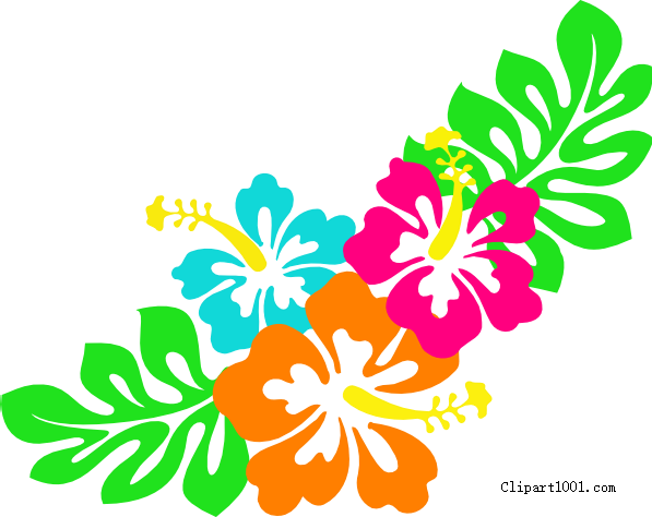 Download - Hibiscus Clip Art (597x474)