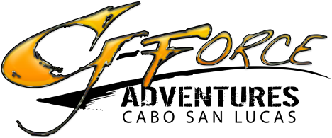 Logo G-force - Calligraphy (500x250)