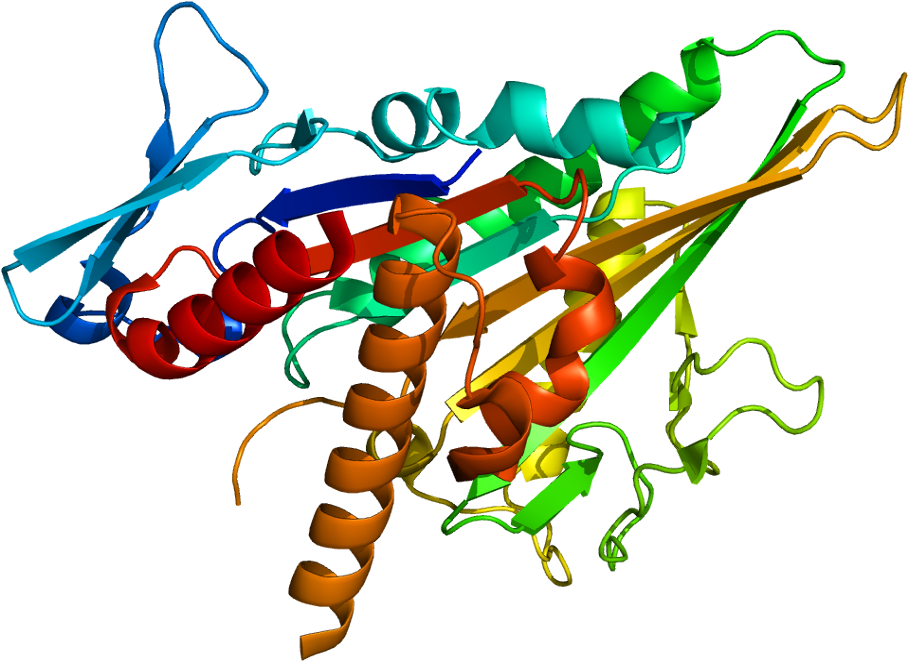Gfap Structure (957x710)