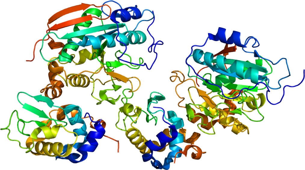 B4galt1 Structure (1063x616)
