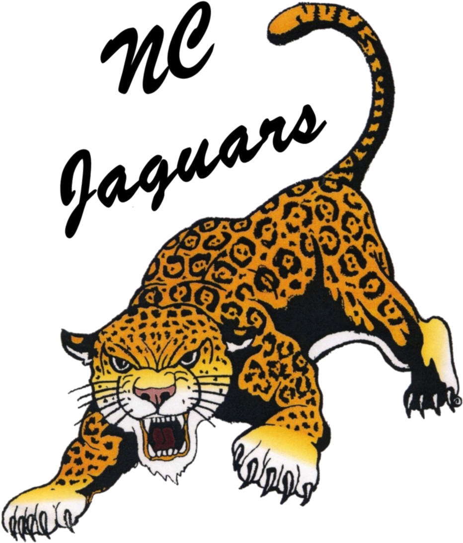 Northern Cass School Logo (961x1280)