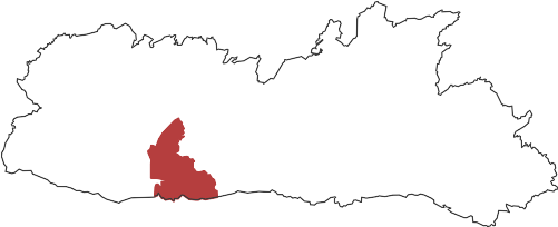 Election (500x400)