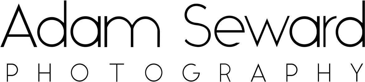 Video Logo (1202x287)