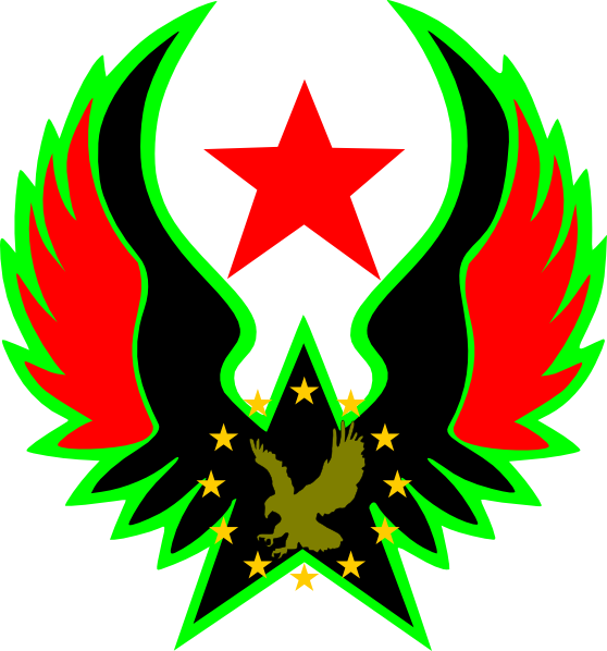 Eagle With Star (558x598)