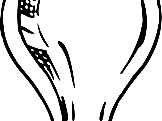 Drawn Christmas Lights Transparent - Big Light Bulb Drawing (640x480)