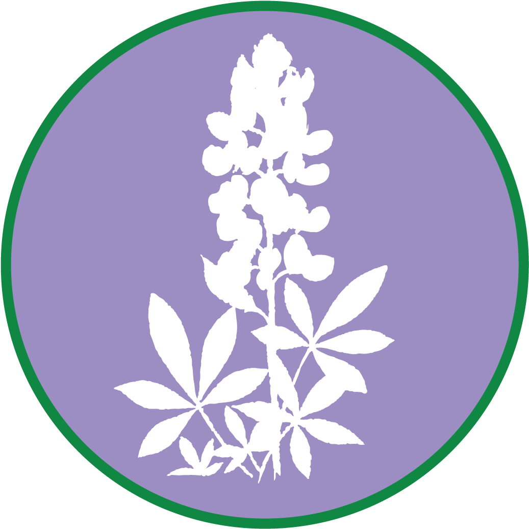 Bluebonnet $250 - Available (1200x1200)