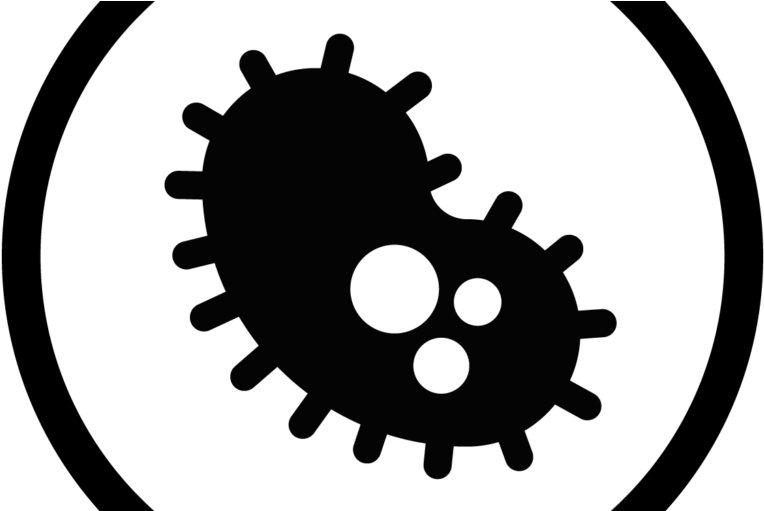 Rotor Q Rings Xtr (805x510)